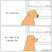 Hund mit dünnem Fell