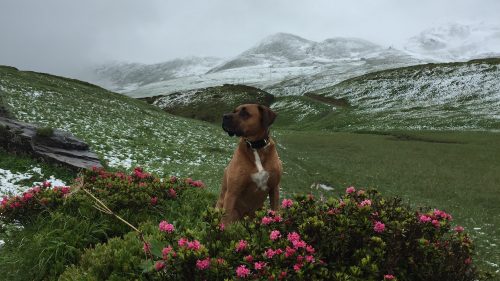 Eine verrückte Geschichte