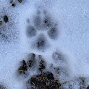 Epilog – oder die letzte Entscheidung