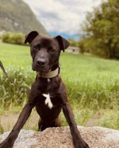 Gestatten: Smokey (formely known as Zeus)