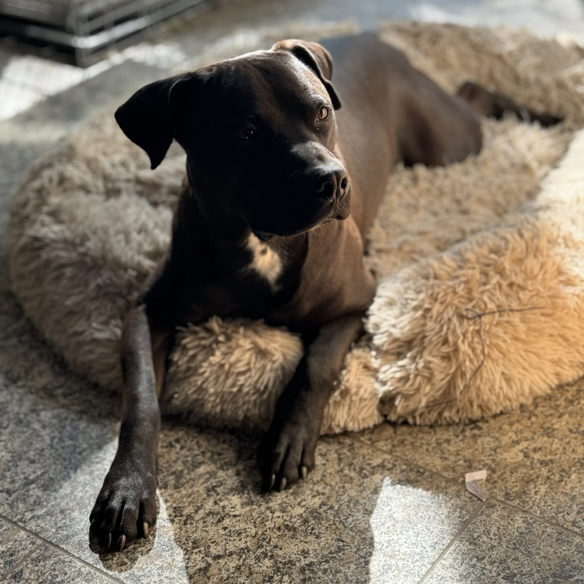 Positive Überraschung