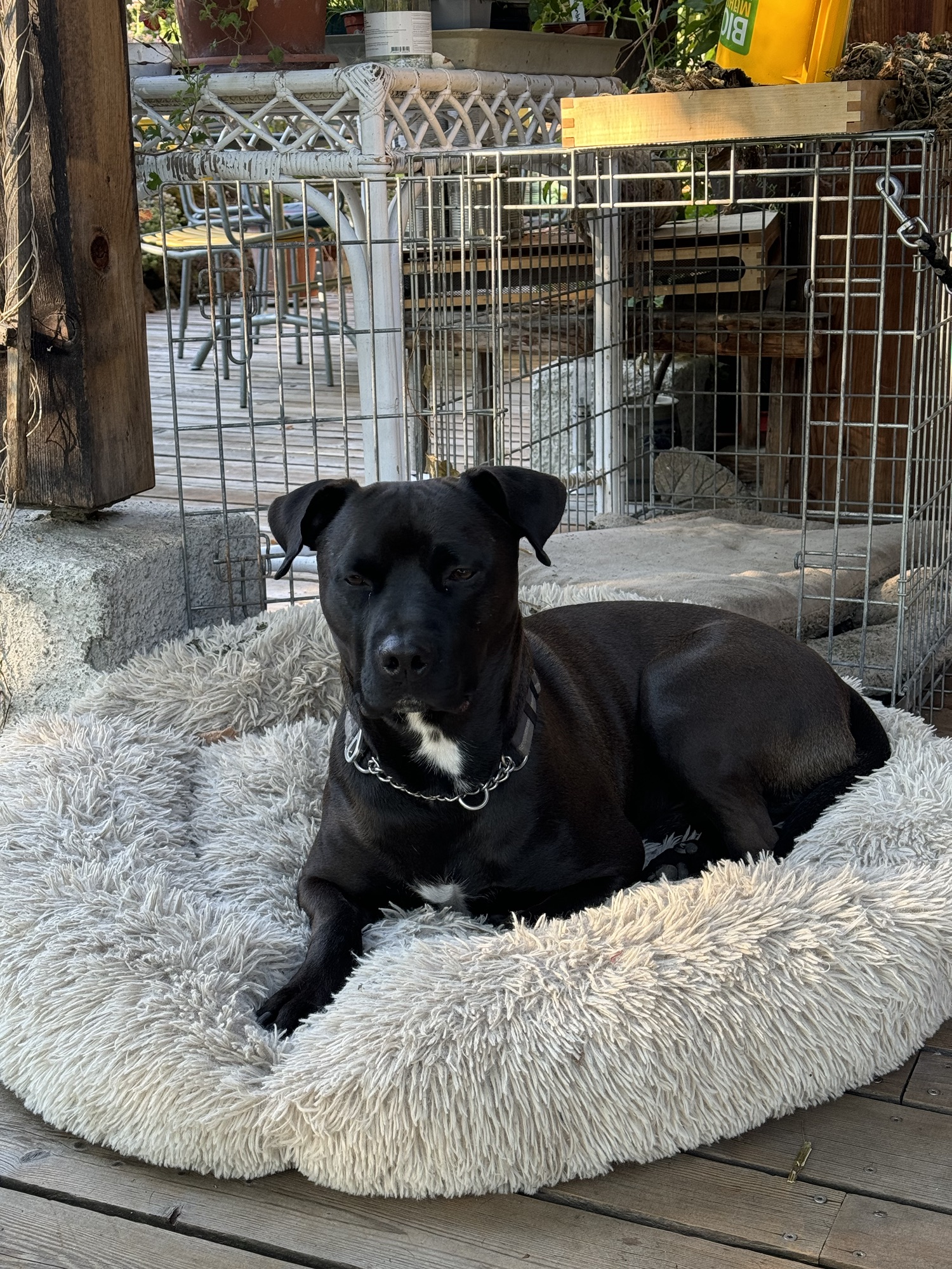 Nicht immer ein gutes Zeichen